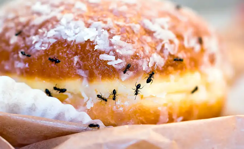 Статьи о производстве картона, блог - Гофромир фото