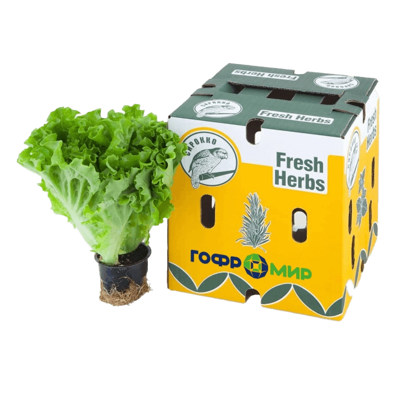 Портфолио выполненных работ ГК Гофромир по производству гофротары в Москве фото