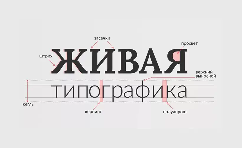 Как использовать шрифты и тексты в дизайне упаковки?