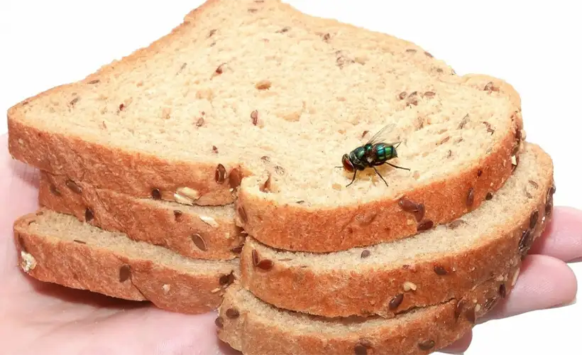 11886248.png 11886248.png