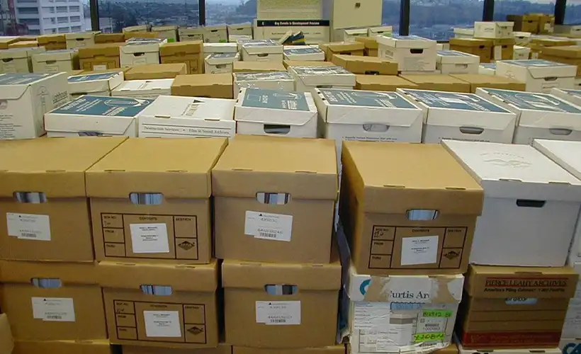 arkhivnye-korobki (9).png