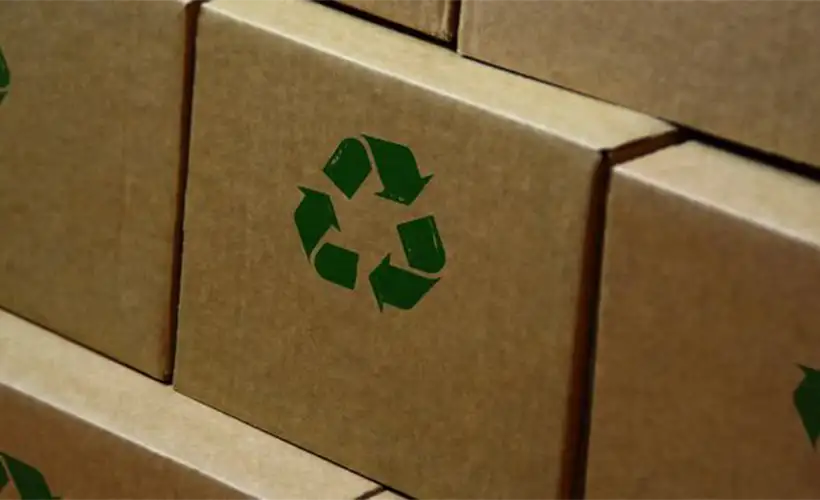 ekologichnaya-upakovka (3).png