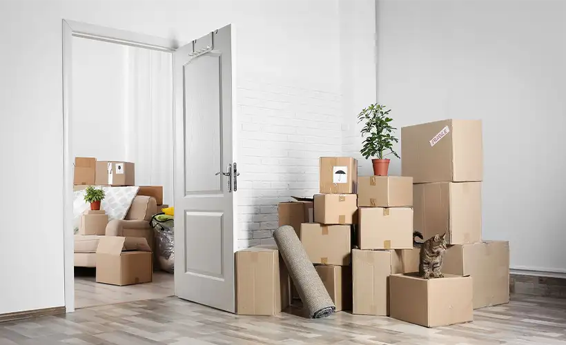 kak-vybrat-prochnye-korobki-dlya-pereezda (3).png