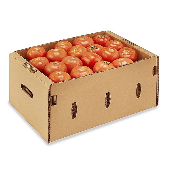 HTB1dhsZEqSWBuNjSsrbq6y0mVXap.png HTB1dhsZEqSWBuNjSsrbq6y0mVXap.png