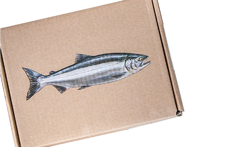 ст-6 (1).png ст-6 (1).png