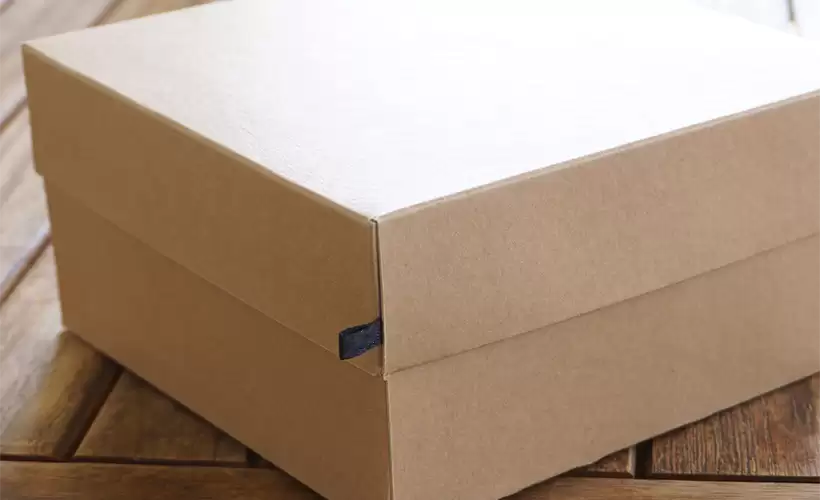 7-sposobov-ispolzovaniya-kraft-korobok-v-povsednevnoy-zhizni (3).png