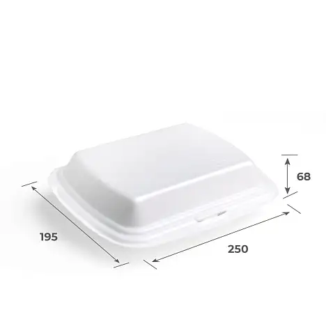 Ланчбокс бессекционный 250х195х68 мм 