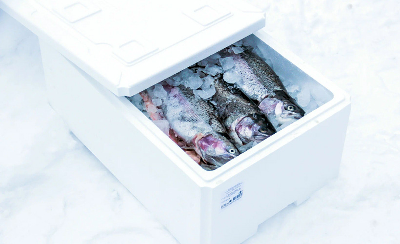 Как упаковать товары для холодильной доставки?