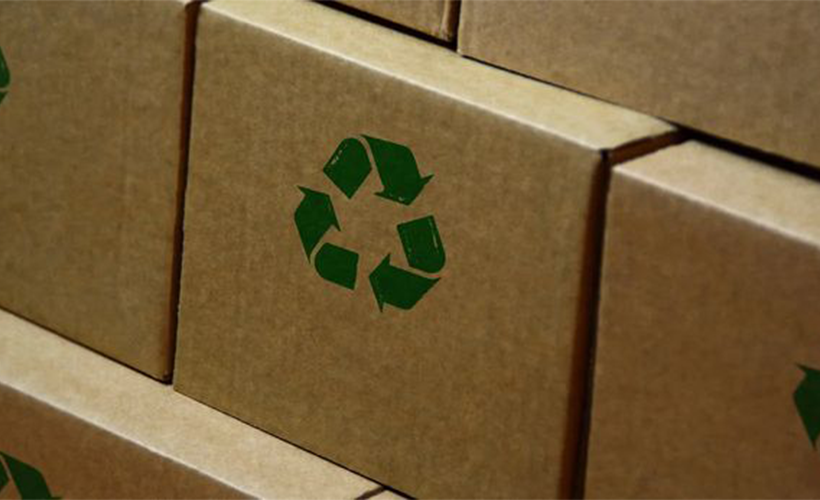 ekologichnaya-upakovka (3).png