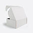 Картонная коробка 310х220х120 Т11 E Белый 0427 (с усечёнными клапанами)