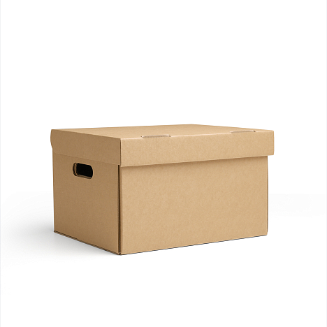 Короб архивный 380х285х230 Т24 B Бурый 0470